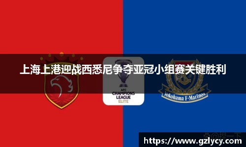 上海上港迎战西悉尼争夺亚冠小组赛关键胜利
