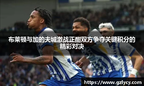 布莱顿与加的夫城激战正酣双方争夺关键积分的精彩对决