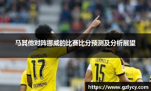 马其他对阵挪威的比赛比分预测及分析展望